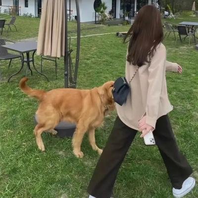 天生兔女郎