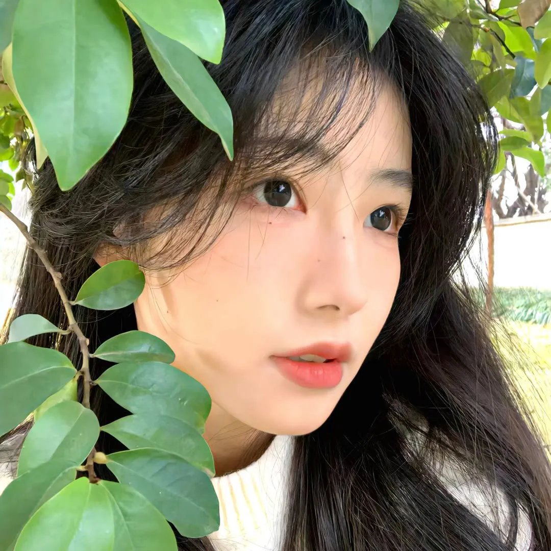 房车奇遇