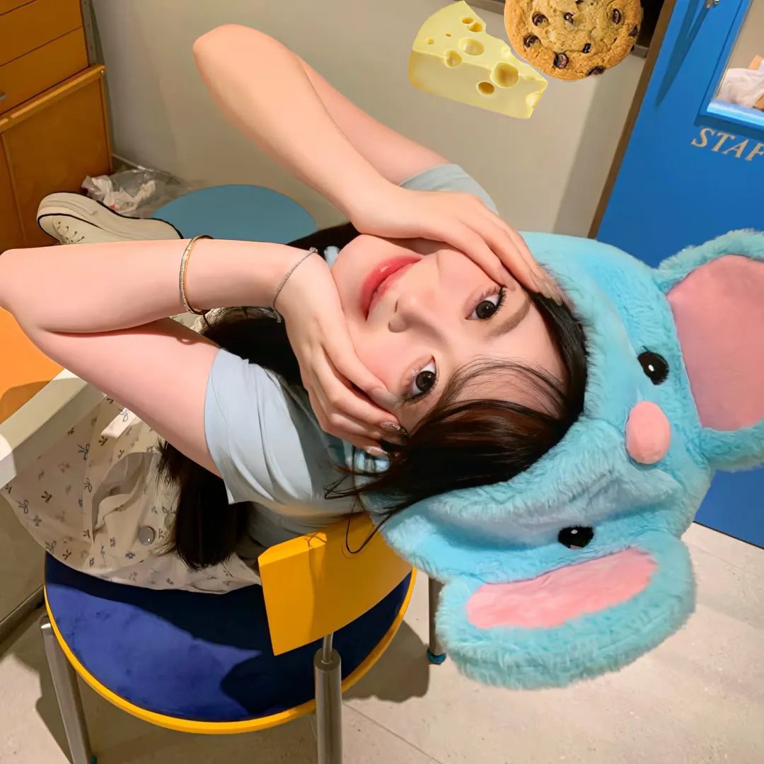 老鼠爱大米